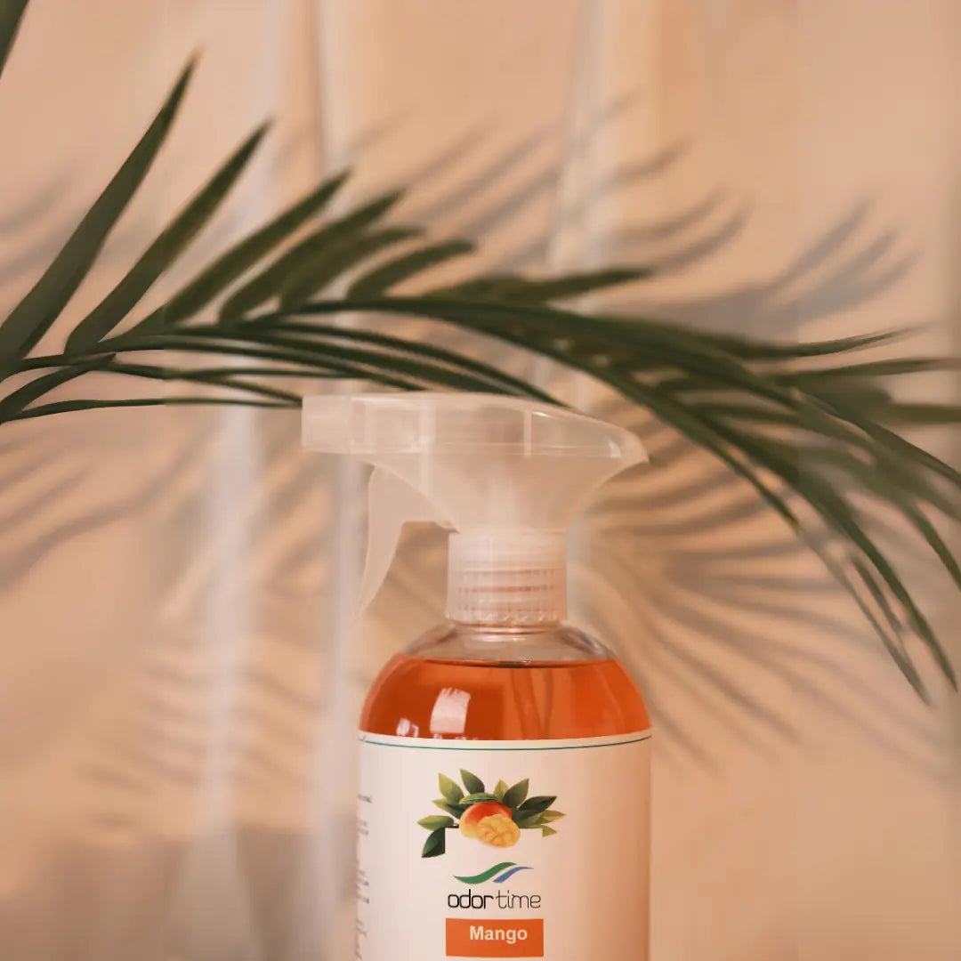 Mango Oda Spreyi 550 ML